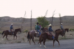 DP24715 Tomera Steer Shipping Christina Barr